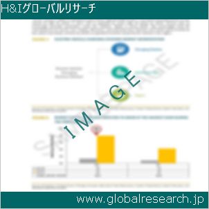 グローバルリサーチ調査レポートのイメージ